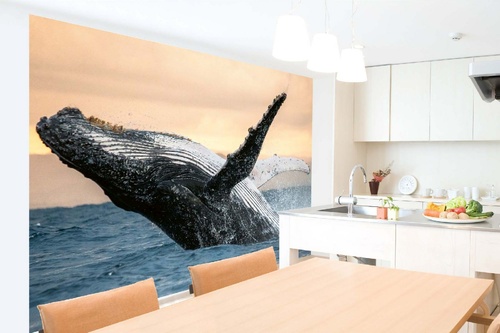 Vlies Fototapete - Springender Wal 375 x 250 cm